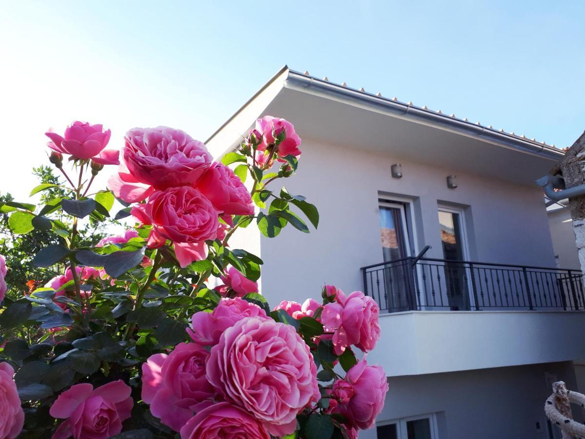 Villa House Gita à Mrljane Extérieur photo
